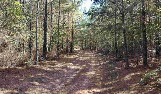 Photo #11 of Lot 3 GREEN CREEK RD, SCHUYLER, VA 30.7 acres