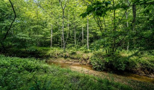 Photo #3 of Lot 4 GREEN CREEK RD, SCHUYLER, VA 66.0 acres