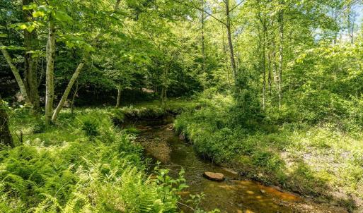 Photo #2 of Lot 4 GREEN CREEK RD, SCHUYLER, VA 66.0 acres