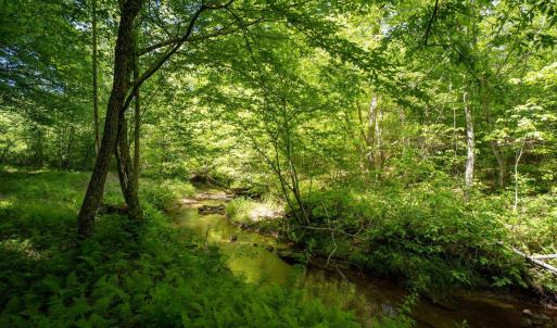 Photo #5 of Lot 4 GREEN CREEK RD, SCHUYLER, VA 66.0 acres
