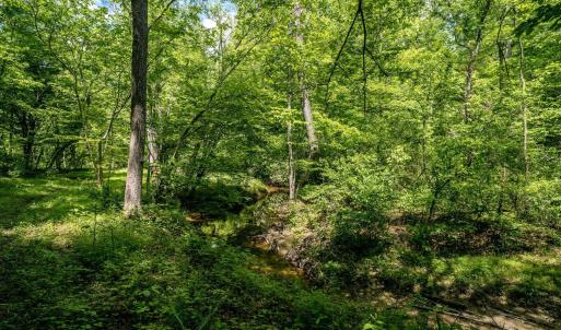 Photo #7 of Lot 4 GREEN CREEK RD, SCHUYLER, VA 66.0 acres