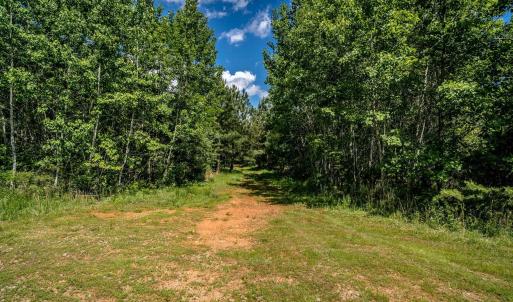 Photo #8 of Lot 4 GREEN CREEK RD, SCHUYLER, VA 66.0 acres
