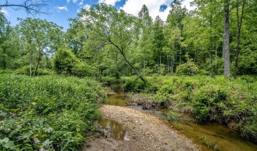 Photo #6 of Lot 4 GREEN CREEK RD, SCHUYLER, VA 66.0 acres