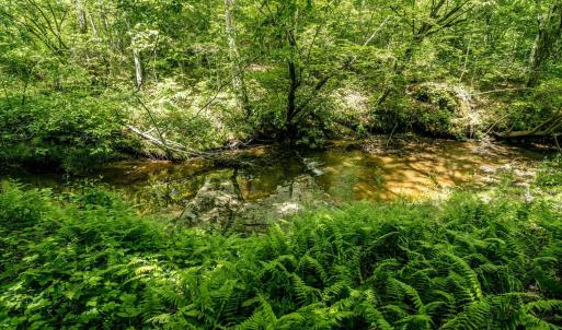 Photo #4 of Lot 4 GREEN CREEK RD, SCHUYLER, VA 66.0 acres