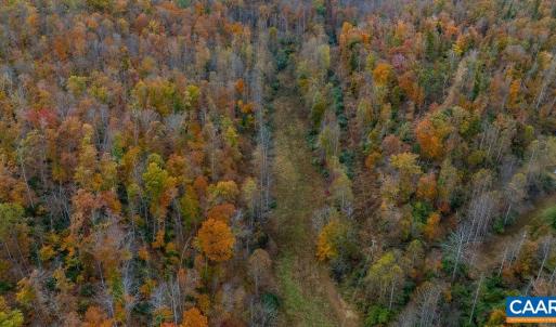 Photo #4 of WILLOW BRANCH LN, FABER, VA 17.3 acres