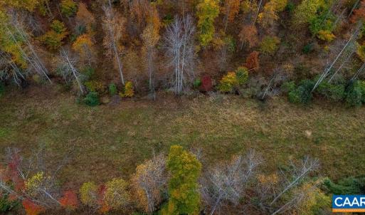 Photo #5 of WILLOW BRANCH LN, FABER, VA 17.3 acres