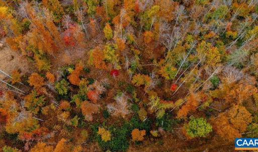 Photo #12 of ADIAL RD, FABER, VA 4.9 acres