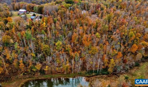 Photo #5 of ADIAL RD, FABER, VA 9.3 acres