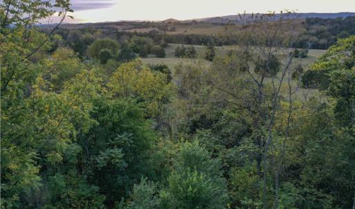 Photo #12 of 8771 SNOWDRIFT LN, BROADWAY, VA 1.2 acres