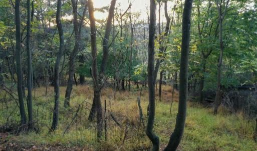 Photo #10 of 8771 SNOWDRIFT LN, BROADWAY, VA 1.2 acres
