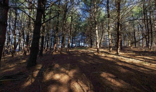 Photo #3 of TBD FAIRVIEW RD, MOUNT CRAWFORD, VA 5.0 acres