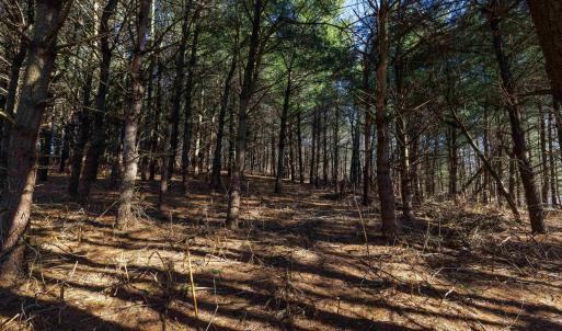 Photo #2 of TBD FAIRVIEW RD, MOUNT CRAWFORD, VA 5.0 acres