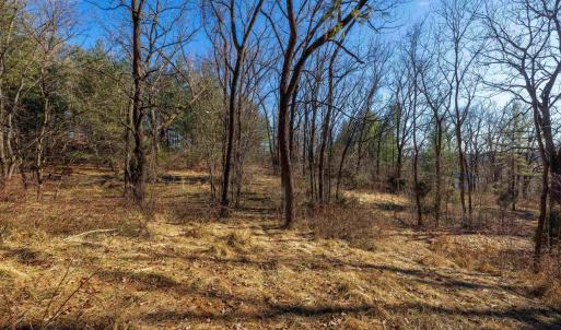 Photo #4 of TBD FAIRVIEW RD, MOUNT CRAWFORD, VA 5.0 acres