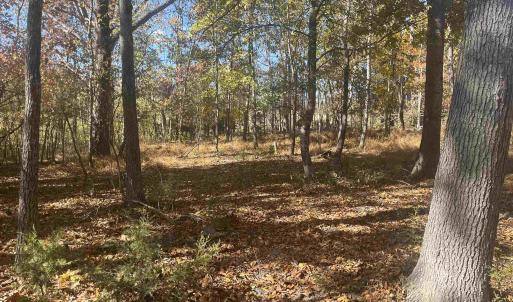 Photo #2 of 330 BALD ROCK RD, VERONA, VA 12.1 acres