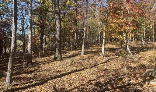Photo #16 of 330 BALD ROCK RD, VERONA, VA 12.1 acres