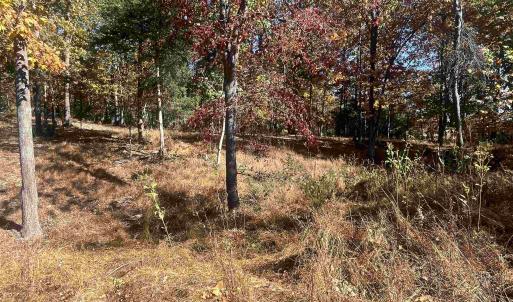 Photo #8 of 330 BALD ROCK RD, VERONA, VA 12.1 acres