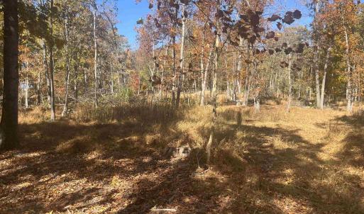 Photo #3 of 330 BALD ROCK RD, VERONA, VA 12.1 acres