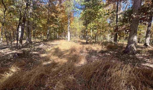 Photo #9 of 330 BALD ROCK RD, VERONA, VA 12.1 acres