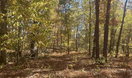 Photo #5 of 330 BALD ROCK RD, VERONA, VA 12.1 acres