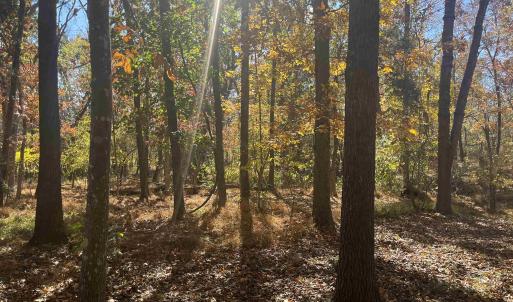 Photo #15 of 330 BALD ROCK RD, VERONA, VA 12.1 acres