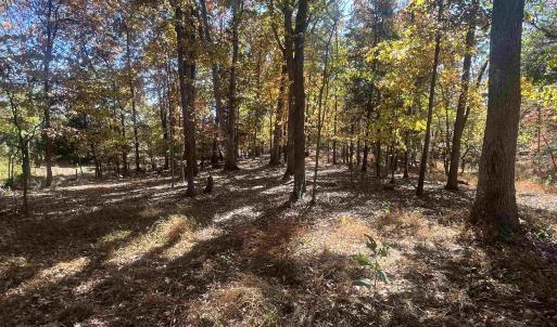 Photo #12 of 330 BALD ROCK RD, VERONA, VA 12.1 acres
