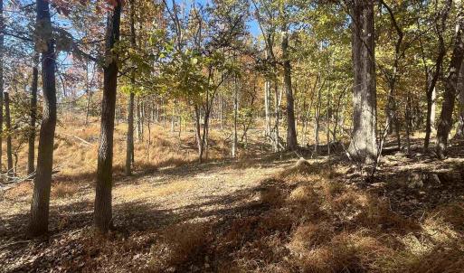 Photo #10 of 330 BALD ROCK RD, VERONA, VA 12.1 acres