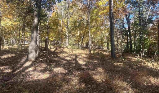 Photo #13 of 330 BALD ROCK RD, VERONA, VA 12.1 acres