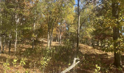 Photo #6 of 330 BALD ROCK RD, VERONA, VA 12.1 acres