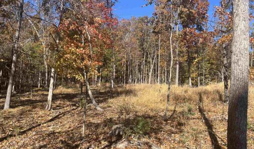 Photo #17 of 330 BALD ROCK RD, VERONA, VA 12.1 acres