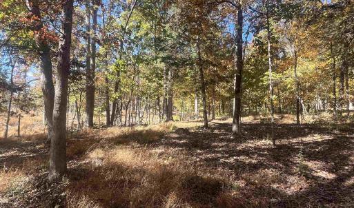 Photo #14 of 330 BALD ROCK RD, VERONA, VA 12.1 acres