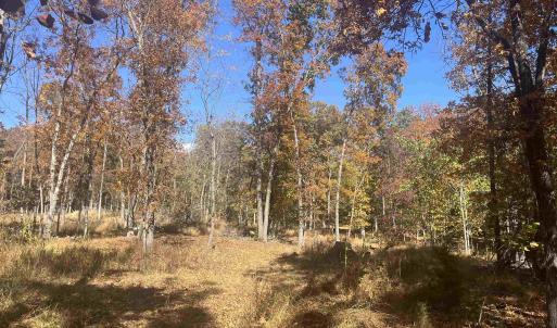 Photo #4 of 330 BALD ROCK RD, VERONA, VA 12.1 acres