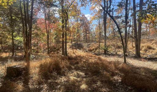 Photo #11 of 330 BALD ROCK RD, VERONA, VA 12.1 acres