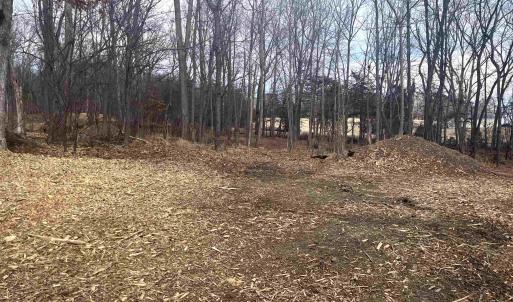 Photo #15 of 330 BALD ROCK RD, VERONA, VA 12.1 acres