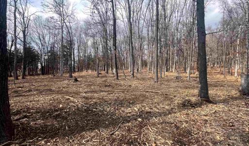 Photo #3 of 330 BALD ROCK RD, VERONA, VA 12.1 acres