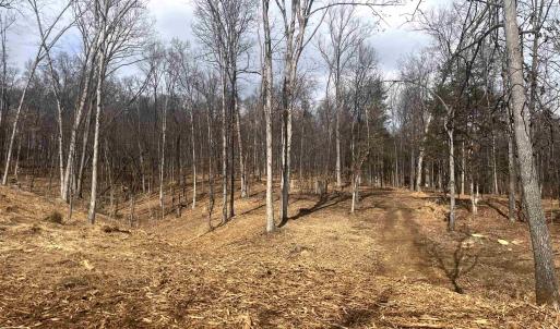 Photo #8 of 330 BALD ROCK RD, VERONA, VA 12.1 acres