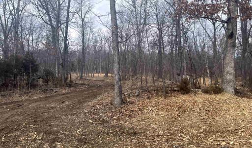 Photo #14 of 330 BALD ROCK RD, VERONA, VA 12.1 acres