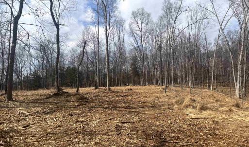 Photo #6 of 330 BALD ROCK RD, VERONA, VA 12.1 acres