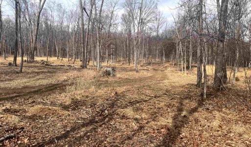 Photo #12 of 330 BALD ROCK RD, VERONA, VA 12.1 acres