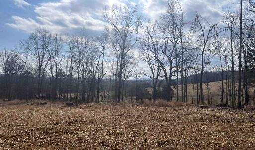Photo #5 of 330 BALD ROCK RD, VERONA, VA 12.1 acres