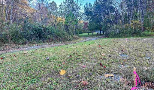 Photo #9 of TBD PEACEFUL LN, LOVINGSTON, VA 47.1 acres