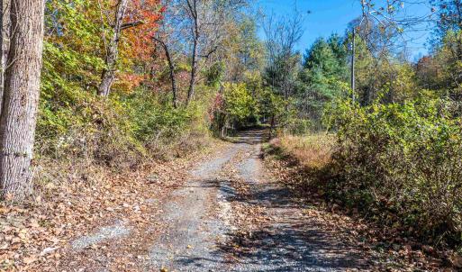 Photo #13 of TBD PEACEFUL LN, LOVINGSTON, VA 47.1 acres
