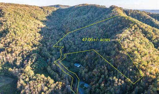 Photo #2 of TBD PEACEFUL LN, LOVINGSTON, VA 47.1 acres