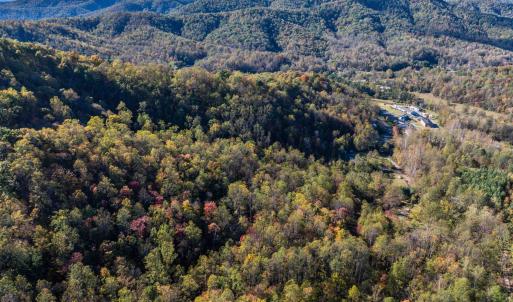 Photo #3 of TBD PEACEFUL LN, LOVINGSTON, VA 47.1 acres