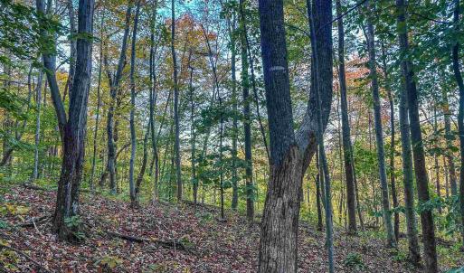 Photo #23 of TBD PEACEFUL LN, LOVINGSTON, VA 47.1 acres