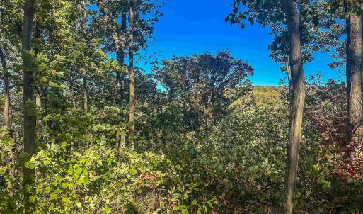 Photo #32 of TBD PEACEFUL LN, LOVINGSTON, VA 47.1 acres