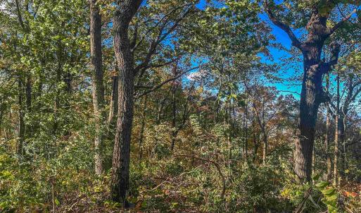 Photo #31 of TBD PEACEFUL LN, LOVINGSTON, VA 47.1 acres