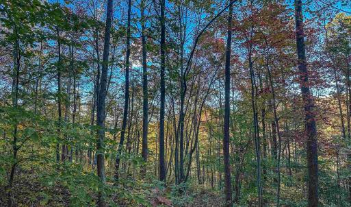 Photo #24 of TBD PEACEFUL LN, LOVINGSTON, VA 47.1 acres