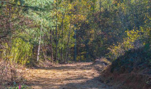 Photo #5 of TBD PEACEFUL LN, LOVINGSTON, VA 47.1 acres