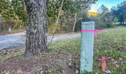 Photo #8 of TBD PEACEFUL LN, LOVINGSTON, VA 47.1 acres