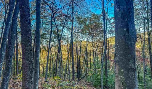 Photo #26 of TBD PEACEFUL LN, LOVINGSTON, VA 47.1 acres